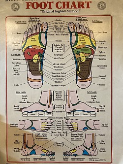 Reflexology chart